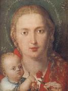 Albrecht Durer The Madonna with a Carna-tion France oil painting artist